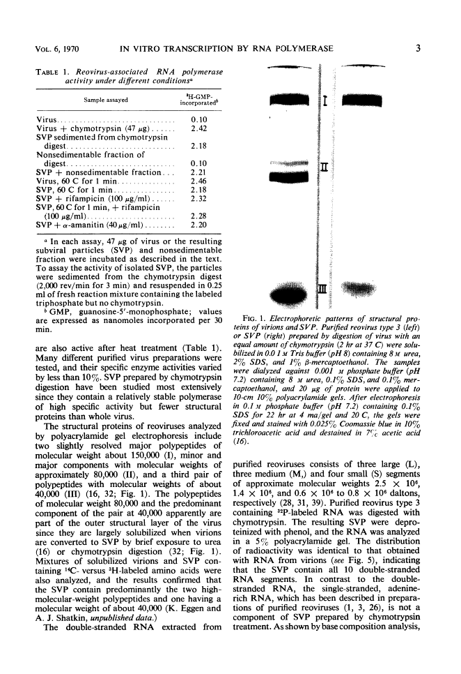 icon of scanned page 3