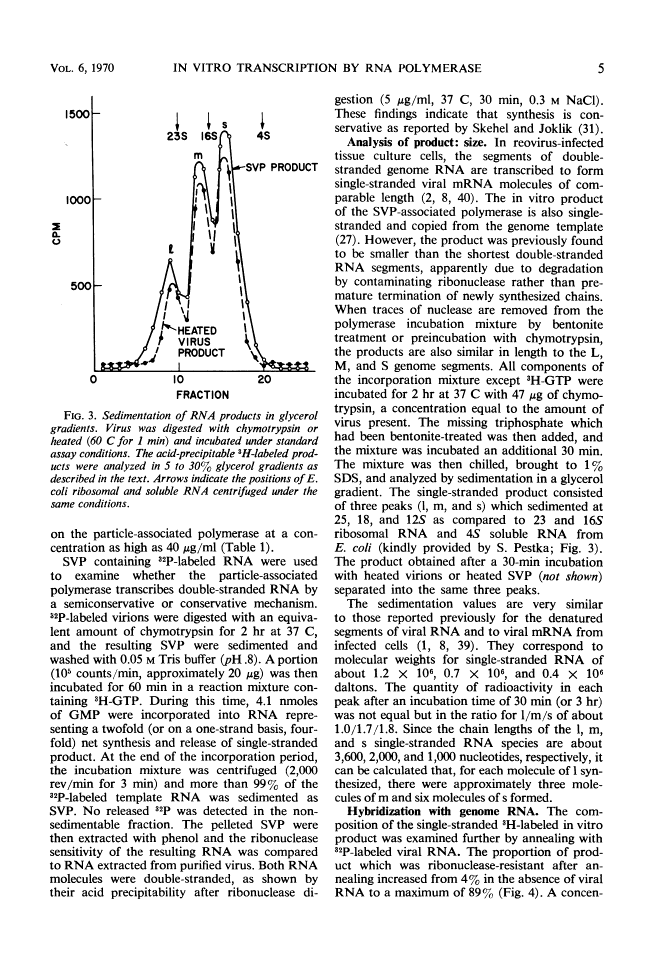 icon of scanned page 5