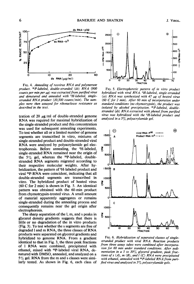 icon of scanned page 6