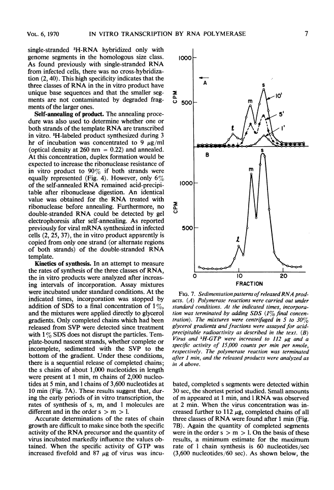 icon of scanned page 7