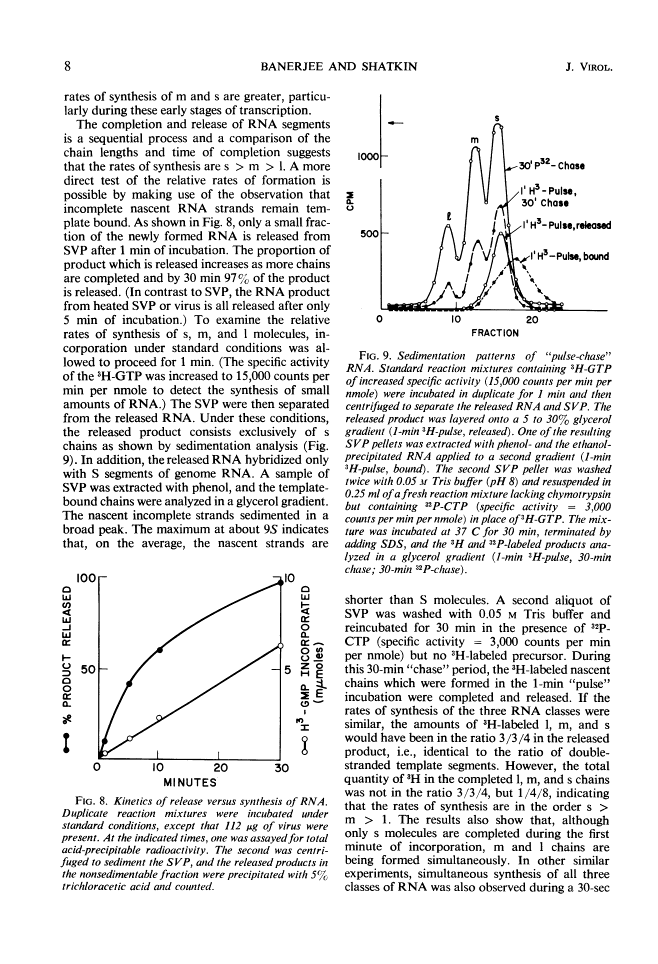 icon of scanned page 8