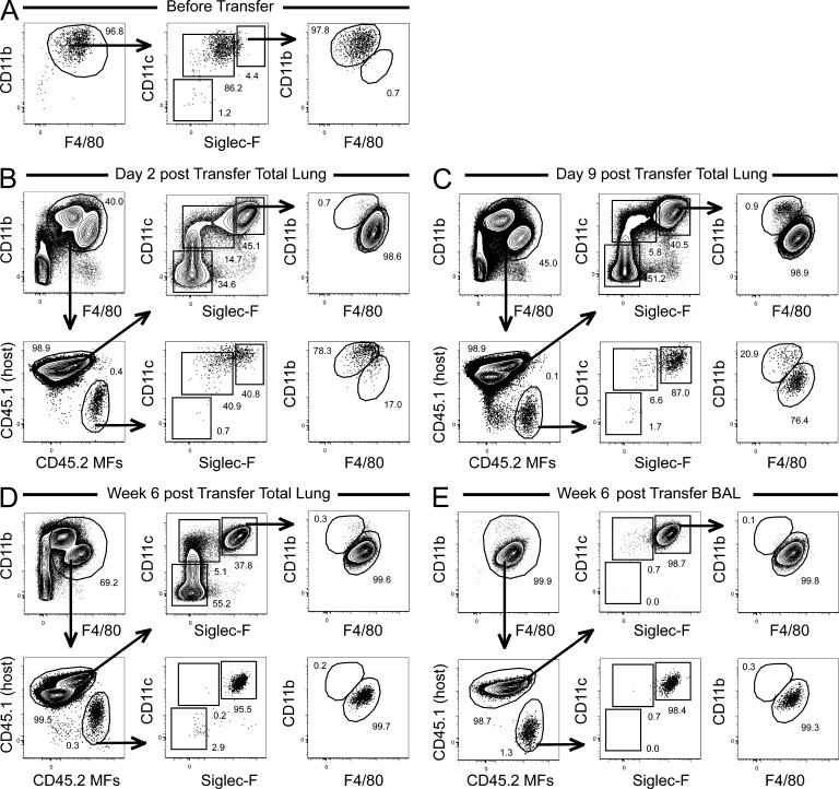 An external file that holds a picture, illustration, etc.
Object name is JEM_20131199_Fig7.jpg