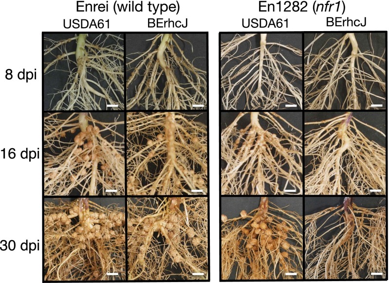 An external file that holds a picture, illustration, etc.
Object name is pnas.1302360110fig02.jpg