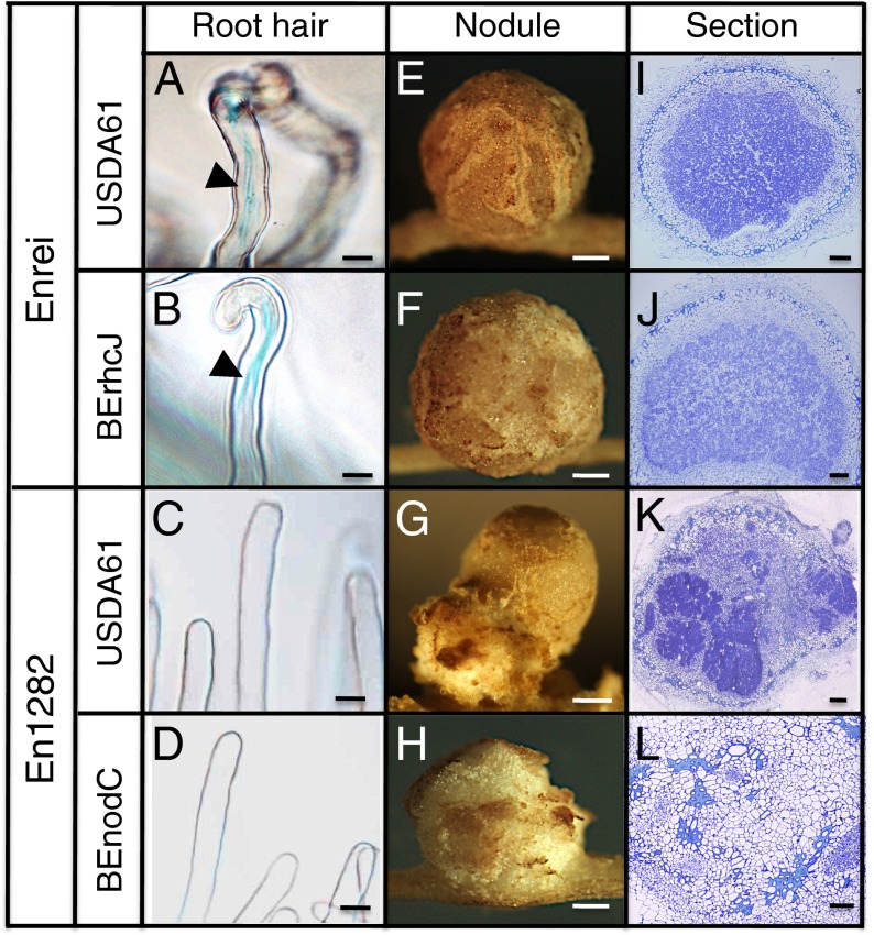 An external file that holds a picture, illustration, etc.
Object name is pnas.1302360110fig03.jpg