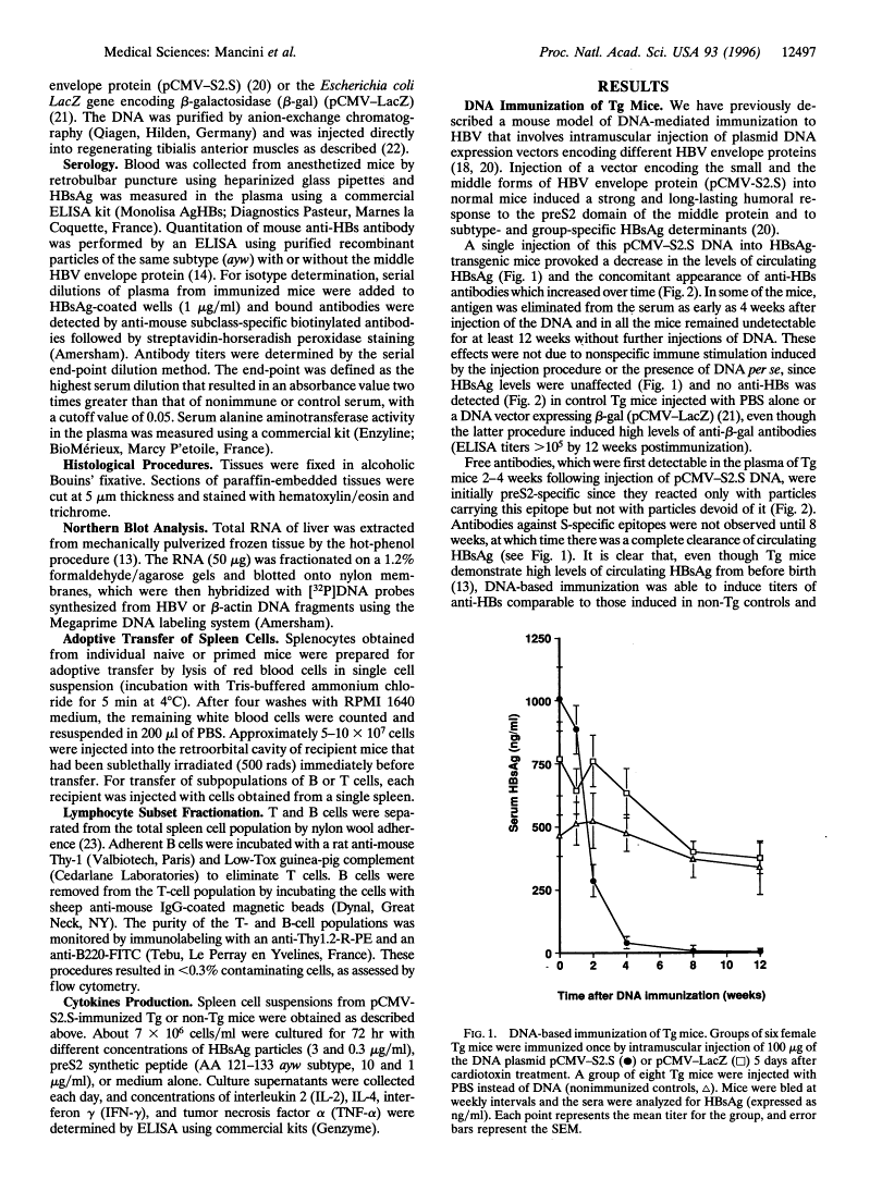 icon of scanned page 12497