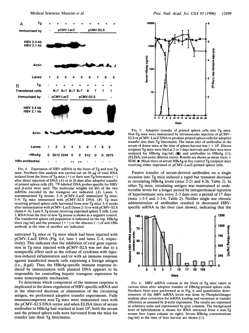 icon of scanned page 12499