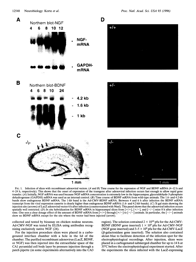 icon of scanned page 12548