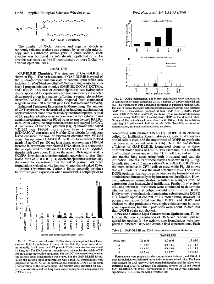 icon of scanned page 11456