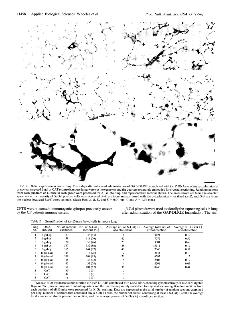 icon of scanned page 11458