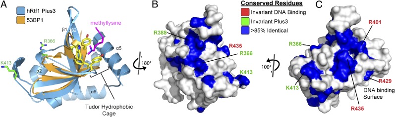 An external file that holds a picture, illustration, etc.
Object name is pnas.1314754110fig01.jpg