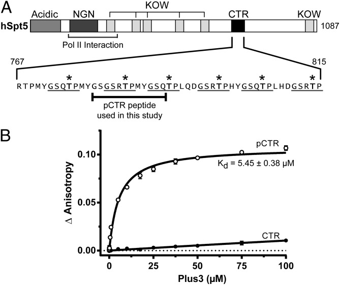 An external file that holds a picture, illustration, etc.
Object name is pnas.1314754110fig02.jpg