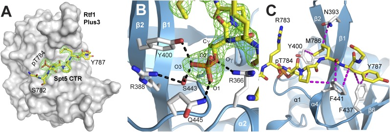 An external file that holds a picture, illustration, etc.
Object name is pnas.1314754110fig03.jpg