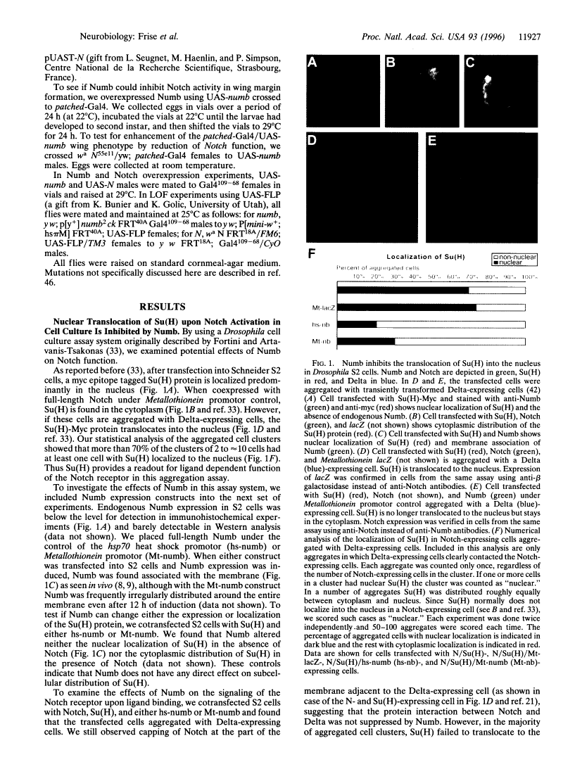 icon of scanned page 11927