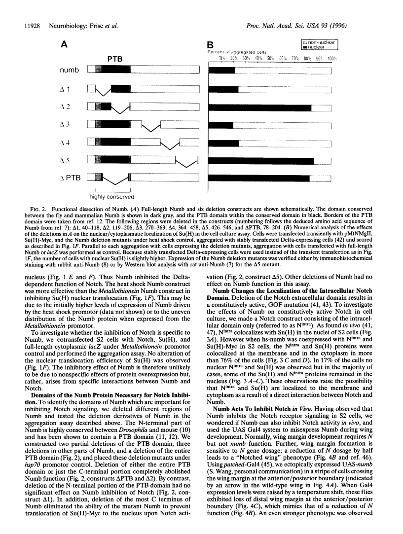 icon of scanned page 11928