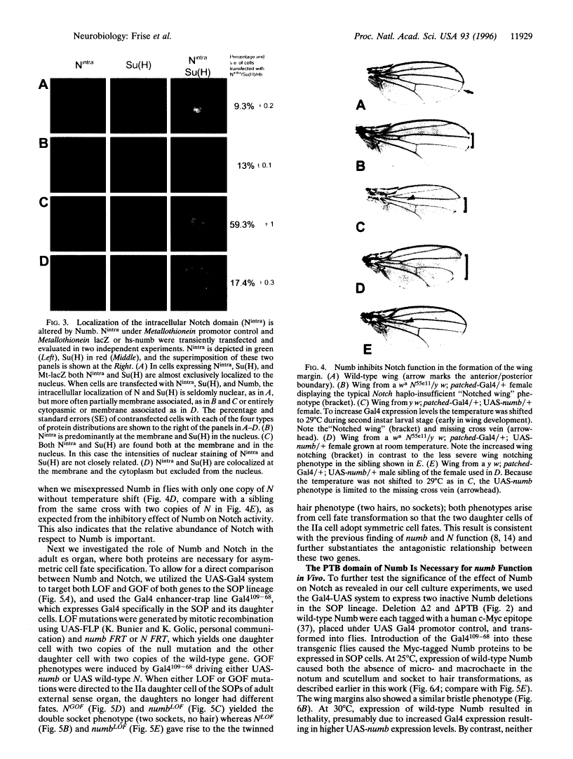 icon of scanned page 11929