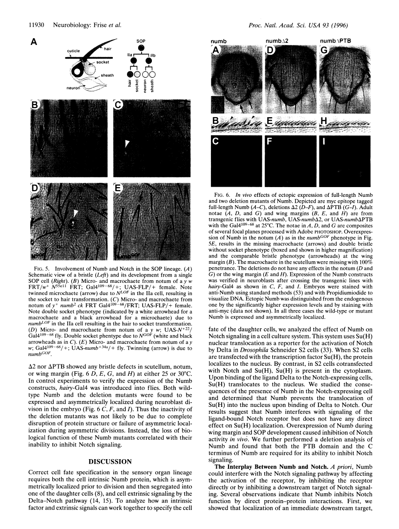 icon of scanned page 11930