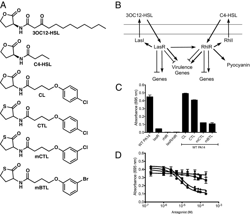 An external file that holds a picture, illustration, etc.
Object name is pnas.1316981110fig01.jpg