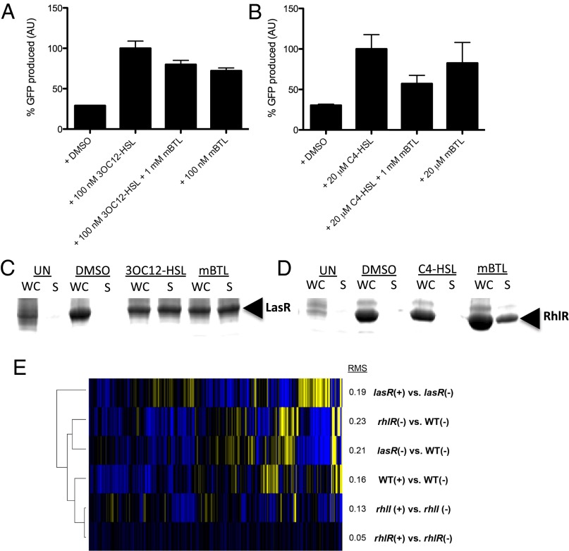 An external file that holds a picture, illustration, etc.
Object name is pnas.1316981110fig02.jpg