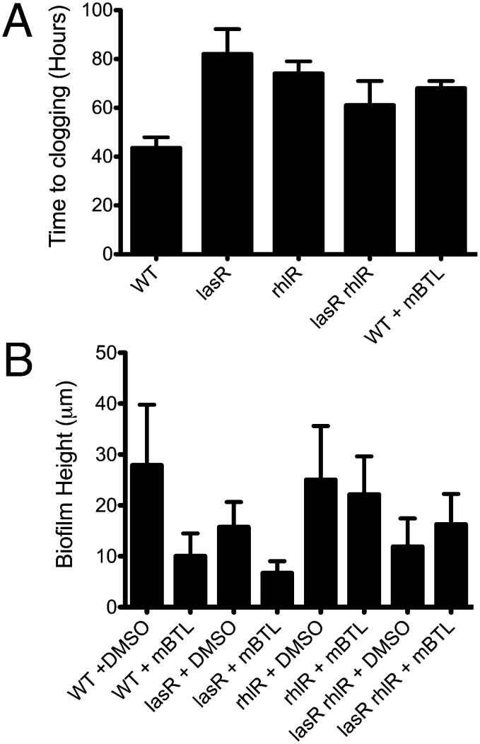 An external file that holds a picture, illustration, etc.
Object name is pnas.1316981110fig04.jpg