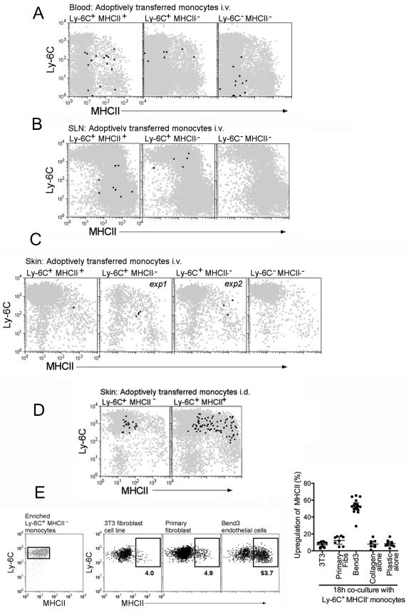 An external file that holds a picture, illustration, etc.
Object name is nihms-523547-f0007.jpg