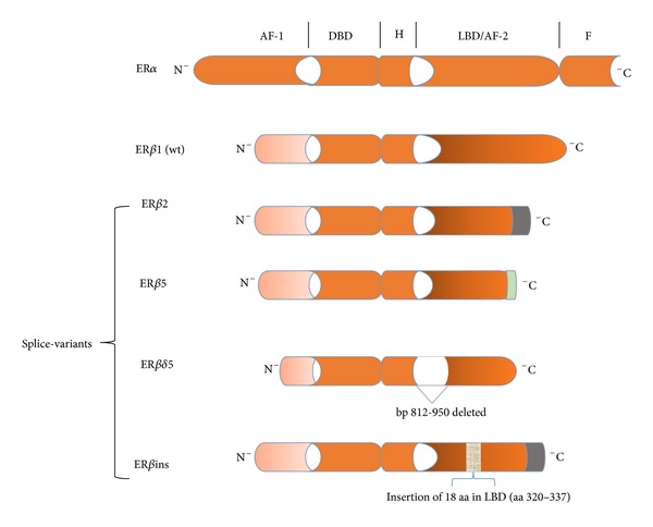 An external file that holds a picture, illustration, etc.
Object name is IJBC2013-284036.004.jpg