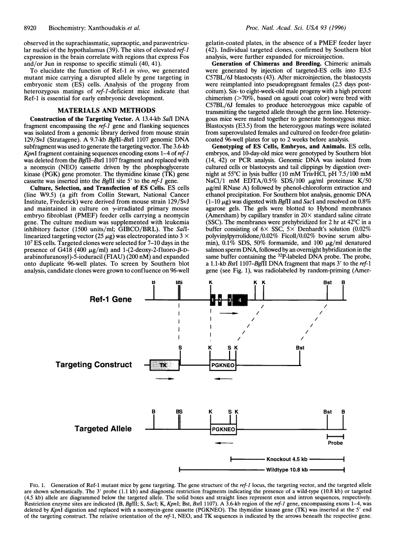 icon of scanned page 8920