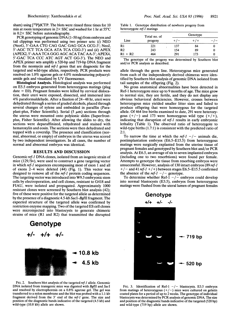 icon of scanned page 8921