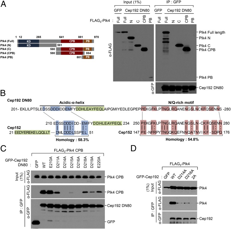 An external file that holds a picture, illustration, etc.
Object name is pnas.1319656110fig01.jpg