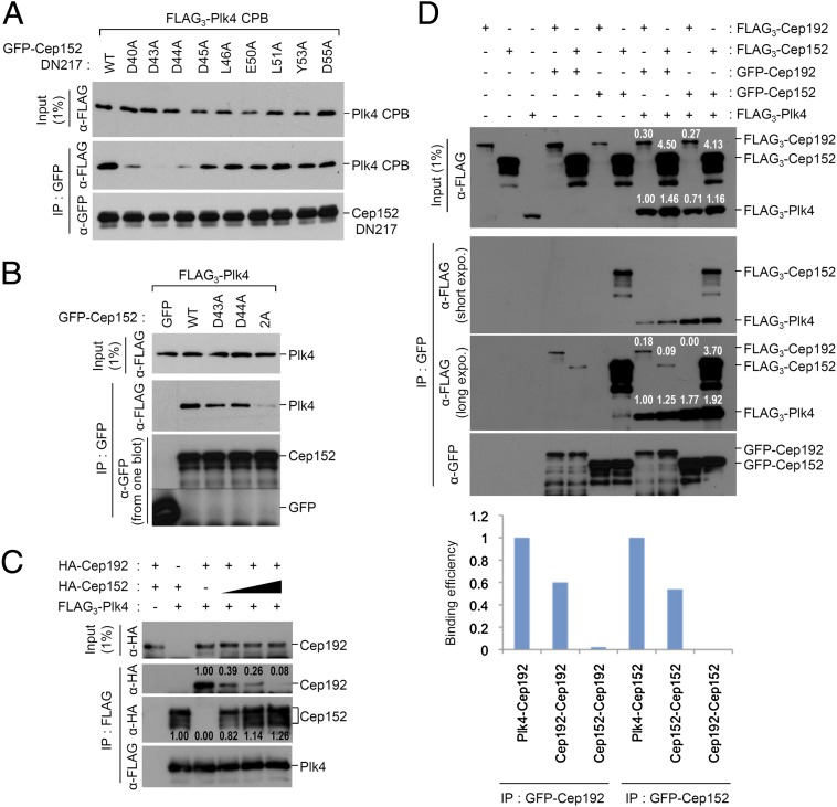 An external file that holds a picture, illustration, etc.
Object name is pnas.1319656110fig02.jpg