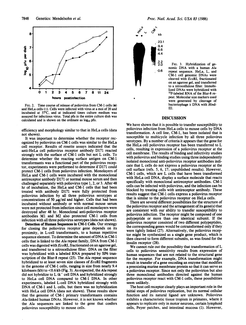 icon of scanned page 7848