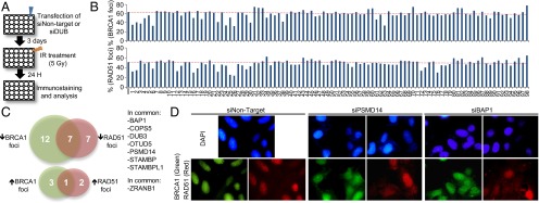 An external file that holds a picture, illustration, etc.
Object name is pnas.1309085110fig01.jpg