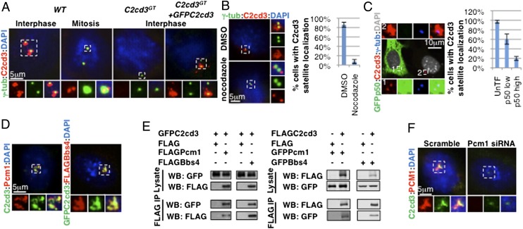 An external file that holds a picture, illustration, etc.
Object name is pnas.1318737111fig01.jpg