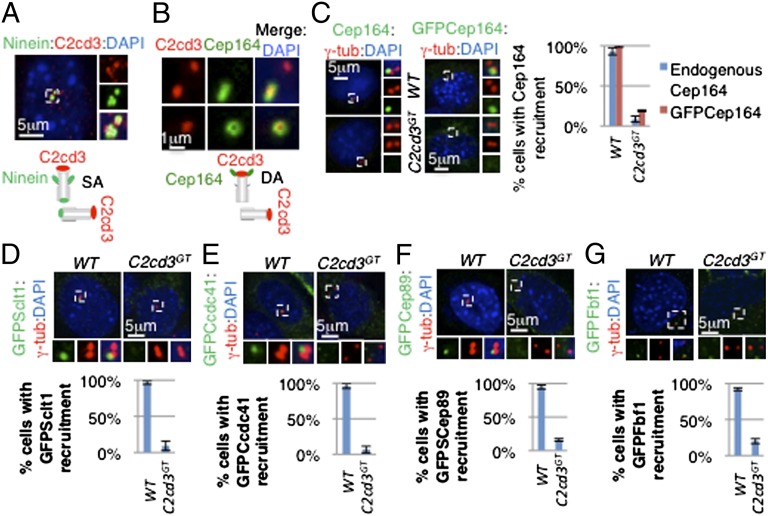 An external file that holds a picture, illustration, etc.
Object name is pnas.1318737111fig02.jpg