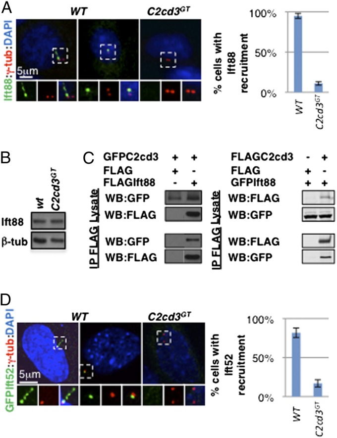 An external file that holds a picture, illustration, etc.
Object name is pnas.1318737111fig04.jpg