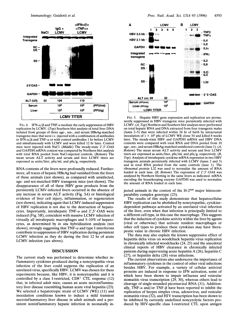 icon of scanned page 4593