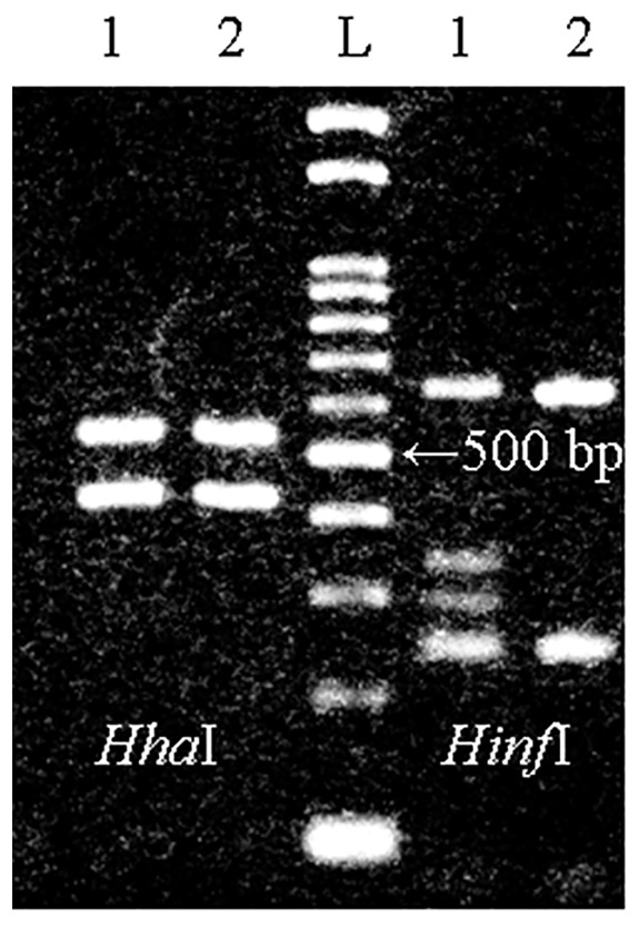 An external file that holds a picture, illustration, etc.
Object name is pone.0089188.g001.jpg