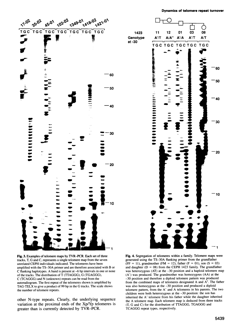 icon of scanned page 5439