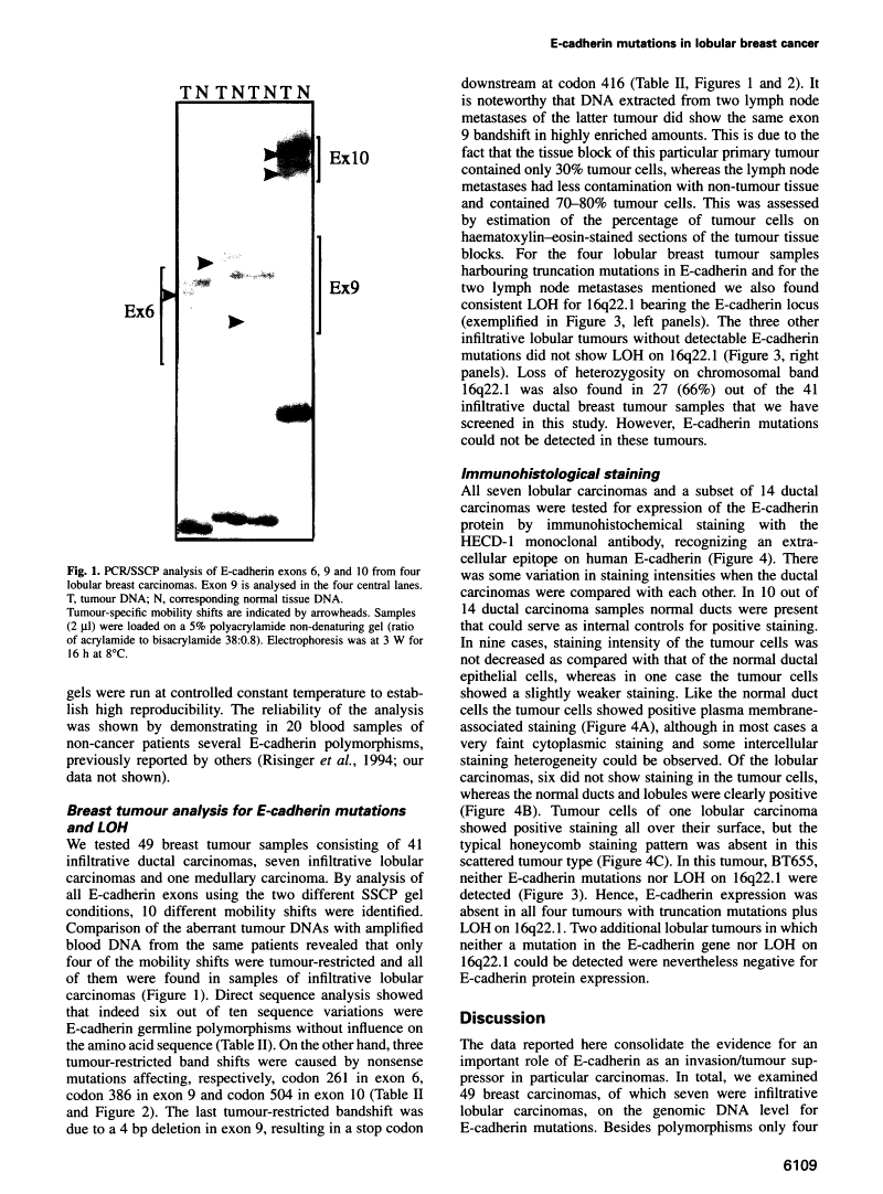 icon of scanned page 6109