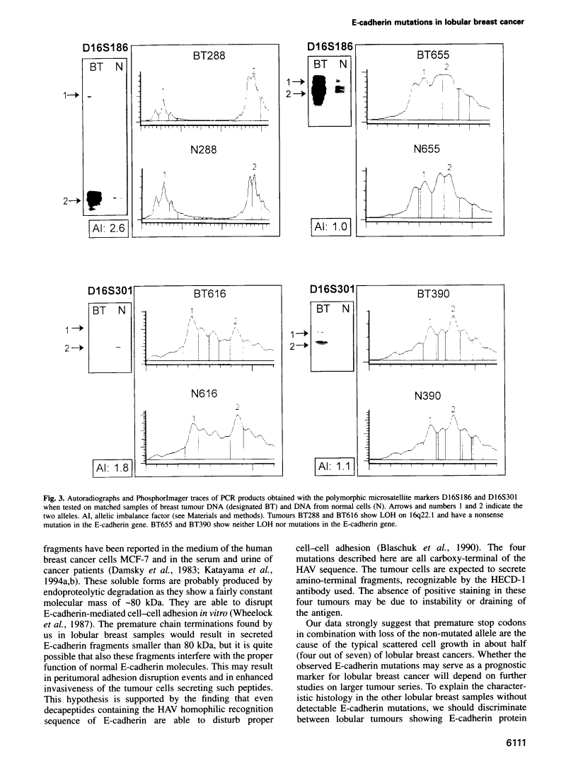 icon of scanned page 6111