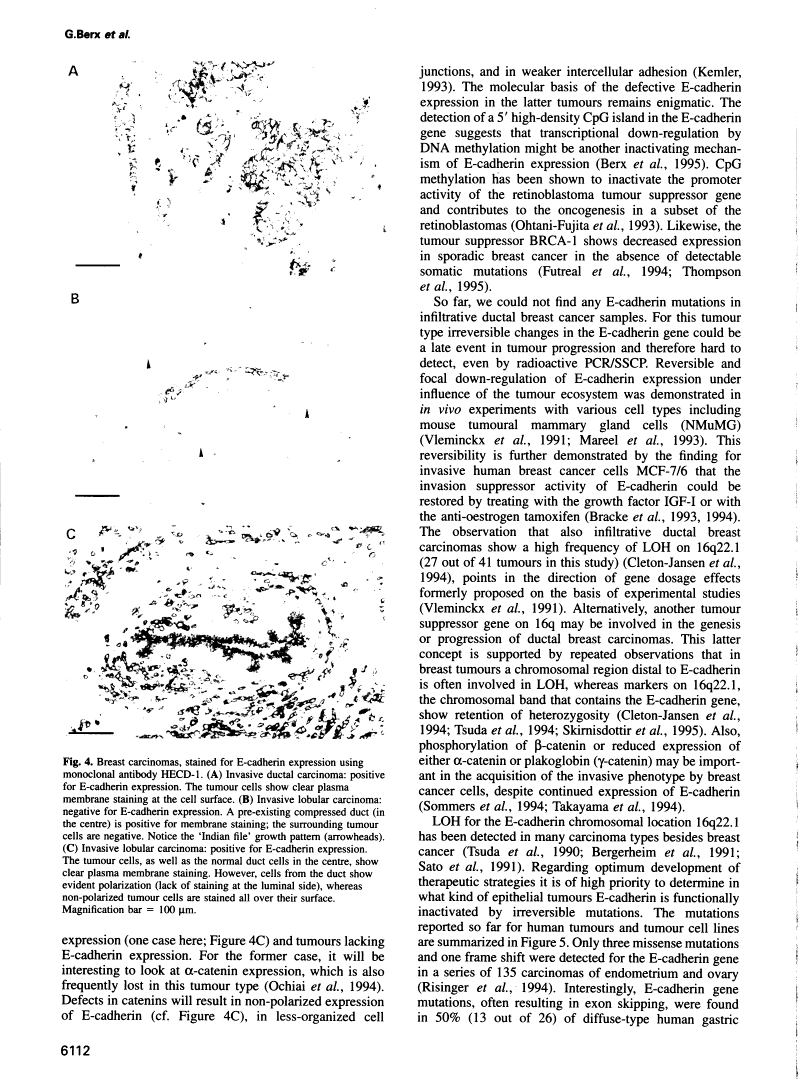 icon of scanned page 6112