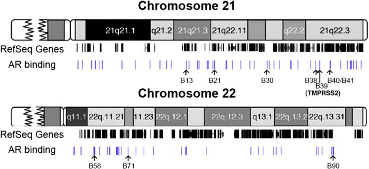 An external file that holds a picture, illustration, etc.
Object name is nihms-126328-f0001.jpg