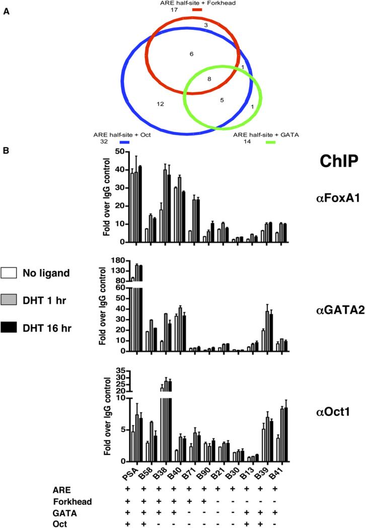 An external file that holds a picture, illustration, etc.
Object name is nihms-126328-f0004.jpg