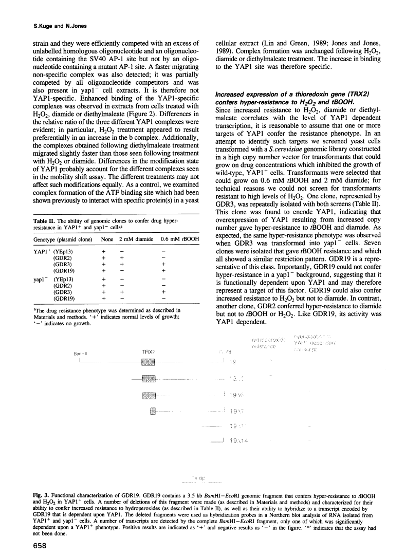 icon of scanned page 658