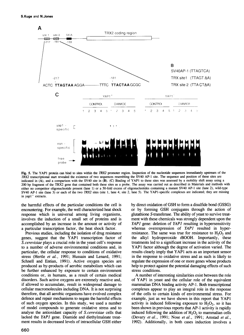 icon of scanned page 660