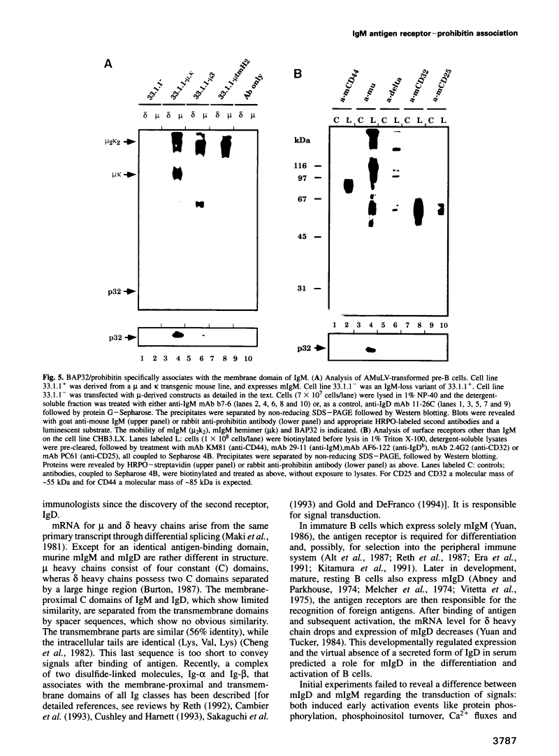 icon of scanned page 3787