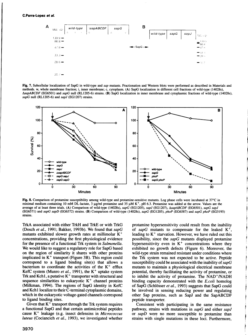 icon of scanned page 3970