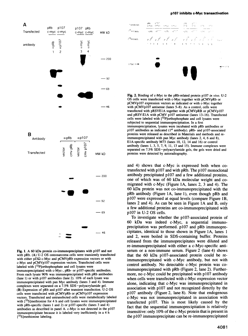 icon of scanned page 4081