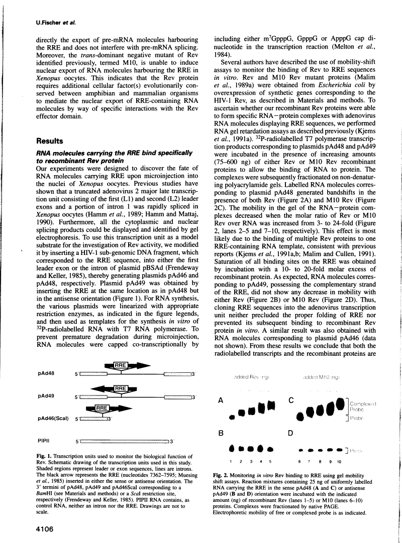 icon of scanned page 4106