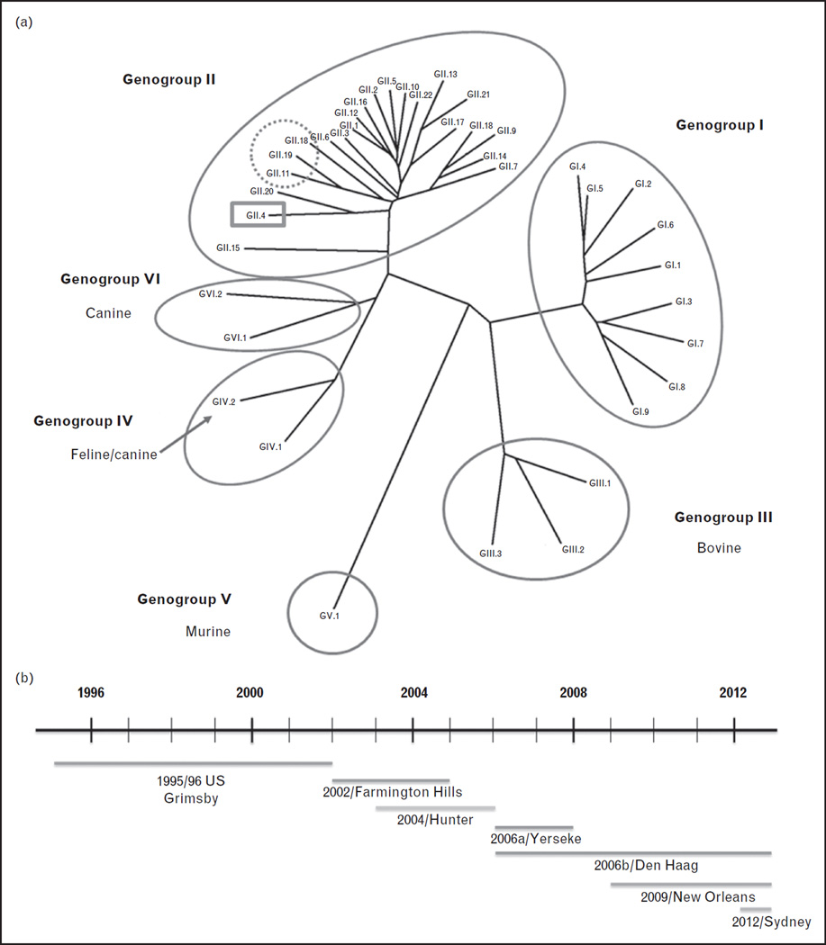 An external file that holds a picture, illustration, etc.
Object name is nihms559804f1.jpg