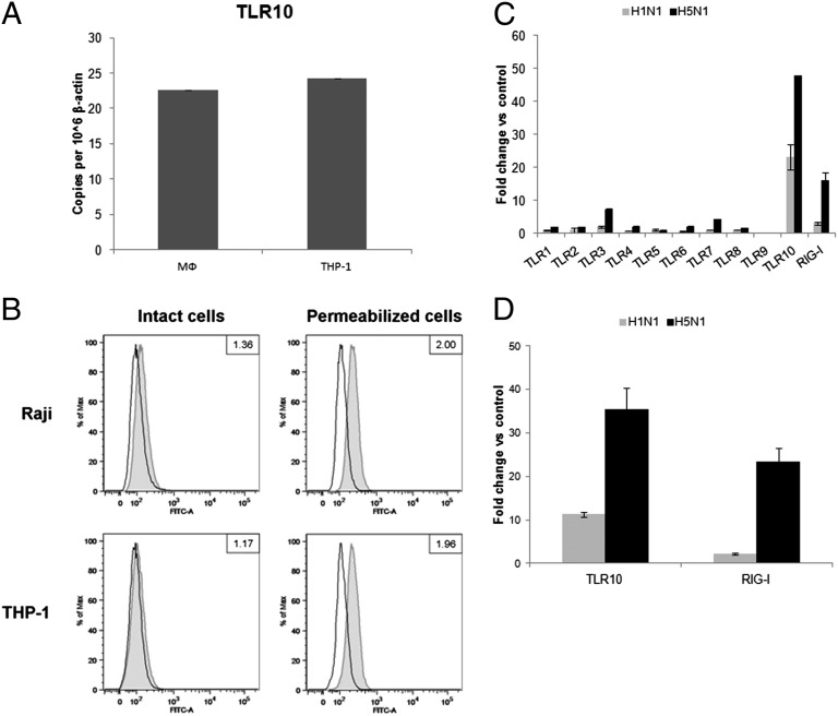 An external file that holds a picture, illustration, etc.
Object name is pnas.1324266111fig01.jpg